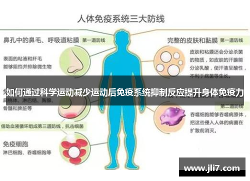 如何通过科学运动减少运动后免疫系统抑制反应提升身体免疫力